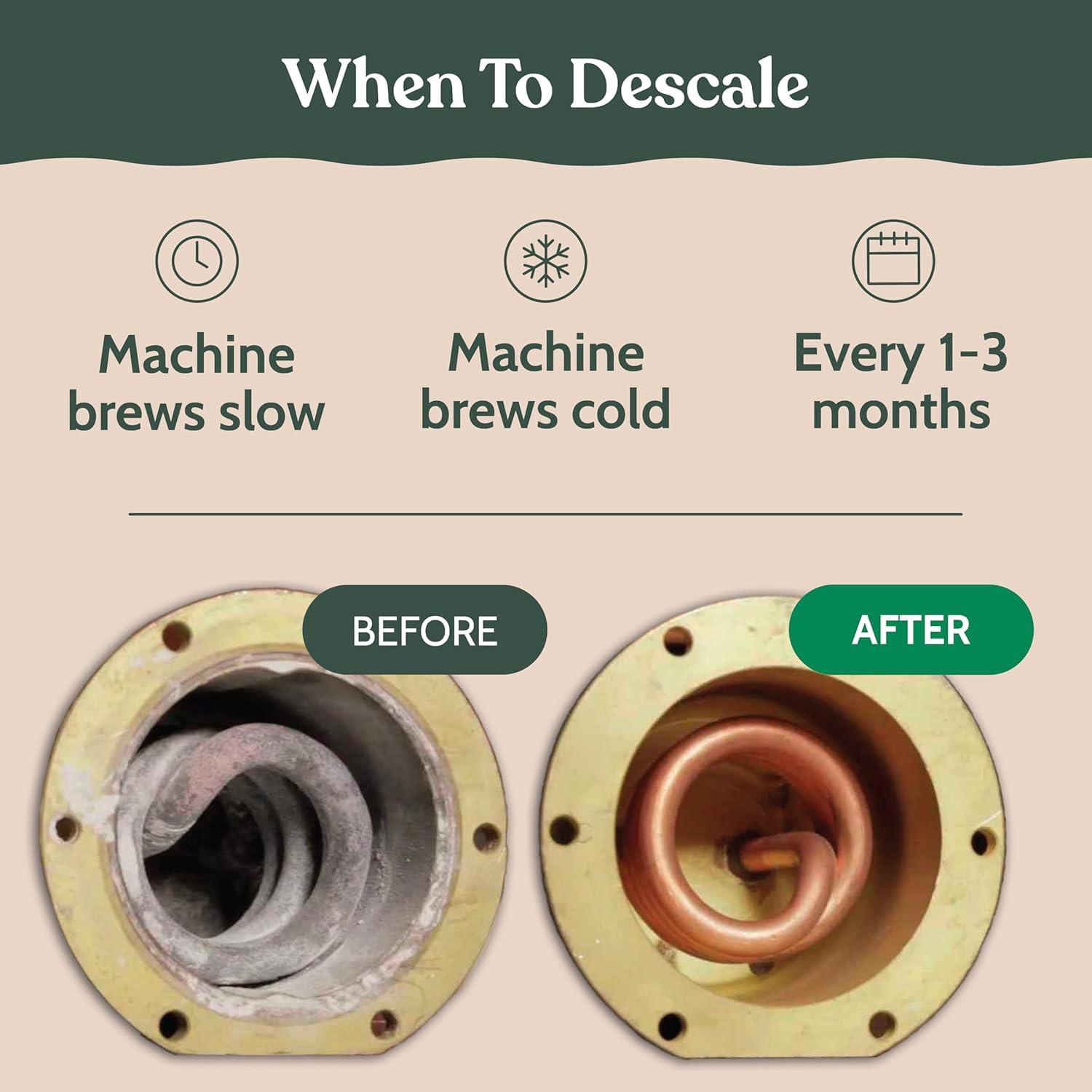 image:imageRoobi Cleaning Pods Compatible with Nespresso Includes 1 Reusable Pod amp 12 Cleaning Tablets Specially Formulated for Originaline Machines 1 Year SupplyDescaling Cleaning Kit